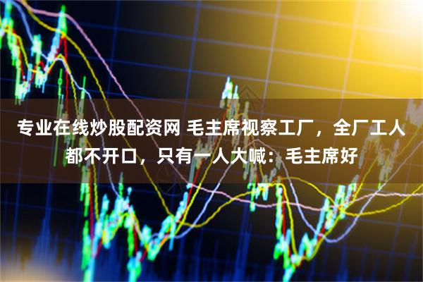 专业在线炒股配资网 毛主席视察工厂，全厂工人都不开口，只有一人大喊：毛主席好